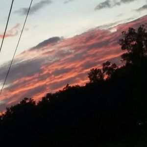 Meet your Posher, Savannah